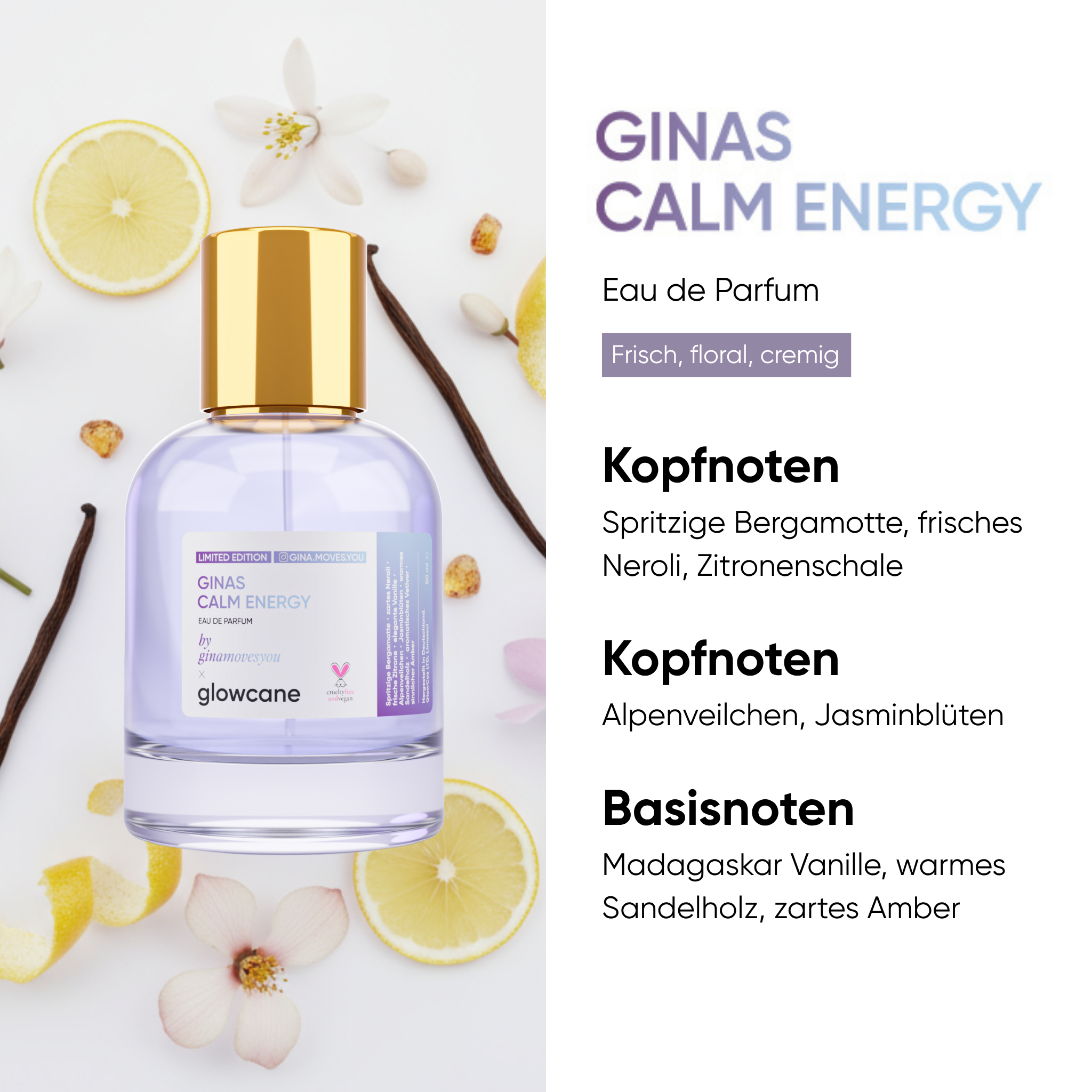 Ginas Calm Energy Bundle